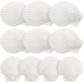 Pikkukuva 1 / 2: 10 kpl Valkoisia Kampasimpukankuoria Suuria Luonnonkuoria Koristeaskartelumateriaaleja Valkoinen Reunus White 7x7cm