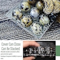 Miniatyrbilde 3 av 5: 100 stk 12 Ruters Vaktel Eggboks Gjenbrukbare Vaktel Eggkartonger Eggbeholder Transparent Kjøleskapsbeholder Mini Eggdispenser med Lokk for Kjøleskap