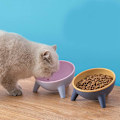 Miniatyrbillede 2 af 5: Keramisk skål med hældningsvinkeldesign til at beskytte kæledyrs rygsøjle, hævet madskål til hunde og katte i pink