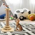 Miniatyrbild 5 av 5: Kattleksaker, klösbräda, klätterställning för katter, kattbo, klösträd, klösstolpe för katter, hopplattform för katter, kattartiklar, katttorn, sisal husdjur