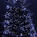 Miniatyrbild 4 av 5: Ljusremsa med 200 LED-lampor, 20 meter lång, för julbelysning Vit White 400 LEDs
