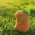 Miniatyrbild 7 av 7: 23cm Capybara Plysch Simulering Capibara Anime Fluffig Leksak Söt Docka Gosedjur Mjuk Docka Plysch Jul Thanksgiving Gåva 23cm-9.05in-C
