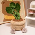 Pikkukuva 1 / 11: Jellycat pehmolelusarja eläin vesisika pehmolelu nukke pehmolelu tukkumyynti【GKS】 30cm cactus
