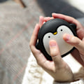 Pikkukuva 3 / 4: Pieni pingviini kädenlämmitin