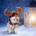 Miniatyrbilde 6 av 6: Katt kostyme jul reinsdyr horn hatt kjæledyr julekostyme for katter og små hunder (S)
