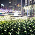 Miniatyrbilde 6 av 7: 4mx6M 1.5MX1.5M 2x3M Julekranser LED Lyslenke Julelys Nettlys Fe Jul Fest Hage Bryllup Dekorasjon Gardinlys