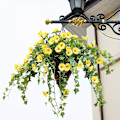 Miniatyrbilde 1 av 3: Kunstig Petunia i Rattan for Utendørs/Innendørs Bruk{GKS} (yellow)