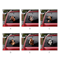 Miniatyrbilde 3 av 10: Personalisert Dyrehest-Klistremerke Morsom Bil 3D Simulering Vannfast Dekal for Hjem Lastbilvindu Baderomdekorasjoner null - A