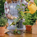 Miniatyrbillede 5 af 5: CDQ Pakke med 2 36 x 10 cm Metal Plant Net, Spalier til Potteplanter med 20 Remme (Sort)