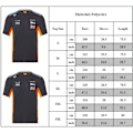 Miniatyrbilde 4 av 6: McLaren F1 2023 Offisiell Team Lando Norris T-skjorte Phantom Kortermet 3XL 3XL