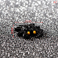 Pikkukuva 1 / 7: Halloween-koristehahmo Miniatyyri Piirretty Muumio Kallo Mikro La A7 one size A7 onesize
