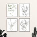 Miniatyrbild 2 av 4: Botaniska Växtväggkonsttryck - Set med 4 Växtväggdekorationer Blommor Köksblommor Väggkonst Boho Leaf Eucalyptus (Oinramad) (8x10)