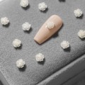 Miniatyrbild 3 av 5: CDQ Nagelkonst 3D Harts Vit Rosblomma Design Aurora Kronblad Nagelform9
