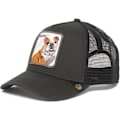Pikkukuva 1 / 2: Musta Pantteri Mesh Cap Baseball-lippis - Koira