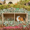 Miniatyrbillede 3 af 11: Hamster træ skjulested lille rede massivt træ lille hus hamster vild rede gylden silkebjørn lille hus legetøj tilbehør S