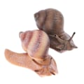 Miniatyrbild 5 av 5: Simulering djur insektsmodell mini djur snigel tillväxt cykel o light color 01 light color 1