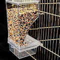 Miniatyrbillede 3 af 5: Fuglefoderautomat, Akrylvinduesfuglefoderautomat, Semi-lukket udendørs fuglefoderautomat, Automatisk fuglefoderautomat med stor kapacitet med siddepind til parakit transparent
