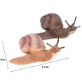 Miniatyrbild 3 av 5: Simulering av djur insektsmodell mini djur snigel tillväxt cykel o ljus färg 01