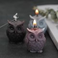 Miniatyrbilde 2 av 5: Lysformer Lys Stearinlys DIY Støpeformer i Silikonform MJ65 Trompet Ugle