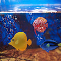 Miniatyrbilde 2 av 5: Kunstig tropisk fisk 3 stk Kunstig silikonfisk Naturtro fisk Lysende