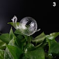 Pikkukuva 1 / 5: 11 Typer Glas Blommor Vattenmatare Automatisk Självbevattning De Transparent 3 Transparent 3