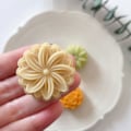 Miniatyrbillede 3 af 5: 1. 20g Plastform Form Månkakor Formar DIY-bakning