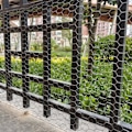 Miniatyrbild 7 av 11: Ersättningsglas för skyddande skärmskydd för NDSI XL-system, skärmskydd, blå