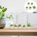 Pikkukuva 2 / 4: 5 kpl Miniatyyri Bonsai Koriste Hartsin Bonsai Deko Mikro Maisema Rekvisiitta (3x1,5cm, Sekalaiset Värit)