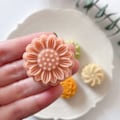 Miniatyrbillede 4 af 5: 1. 20g Plastform Form Månkakor Formar DIY-bakning