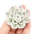 Miniatyrbillede 4 af 8: Keramisk røgelsebrænder holder Lotus Catcher Plate Natural C onesize C onesize