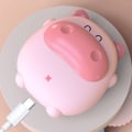 Pikkukuva 5 / 5: Kädenlämmitin USB-latauslämmitin STYLE 2 STYLE 2 Style 2