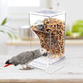 Miniatyrbillede 4 af 5: Fuglefoderautomat, Akrylvinduesfuglefoderautomat, Semi-lukket udendørs fuglefoderautomat, Automatisk fuglefoderautomat med stor kapacitet med siddepind til parakit transparent