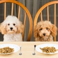 Miniatyrbillede 4 af 4: 2 stk. Hundefoder Skeer i Rustfrit Stål til Kæledyr