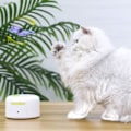 Miniatyrbild 4 av 5: CDQ Kattfjärilsleksak Elektrisk Interaktiv Katt Leksak, Automatisk Självspelande Retande Leksak för Kattungar