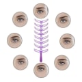 Miniatyrbilde 4 av 5: 8 stk øyenbrynssjeblonger med håndtak og stropp Vaskbar gjenbrukbar Lilla onesize Purple onesize