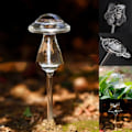 Miniatyrbillede 3 af 5: 11 Typer Glas Blomster Vattenmatare Automatisk Självbevattning De Transparent 11 Transparent 11