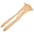 Miniatyrbillede 2 af 4: Fleece Strømpebukser Dame Strass Strømpebukser Krystal Høj Talje Mesh Strømpebukser Fiskenet Tights Strømpebukser Glitrende Netstrømpe