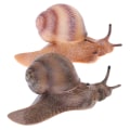Miniatyrbild 2 av 5: Simulering av djur insektsmodell mini djur snigel tillväxt cykel o ljus färg 01