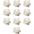 CDQ Nagelkonst 3D Harts Vit Rosblomma Design Aurora Kronblad Nagelform9