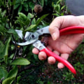 Miniatyrbillede 2 af 4: vs-8z, beskærersaks