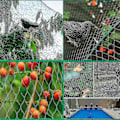 Miniatyrbillede 2 af 3: 12m x 4m Fuglenet, Have Fuglenet, Nylon Fuglenet, Beskyttelse