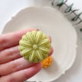 Miniatyrbillede 1 af 5: 1. 20g Plastform Form Månkakor Formar DIY-bakning