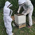 Miniatyrbillede 3 af 5: Biavlerdragt med handsker til børn - Langærmet bomuld, børnebeskyttelse, biavlsudstyr (M, Hvid).