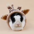 Miniatyrbilde 5 av 5: Små kjæledyrtunneler Marsvinleker Frettleker for leketunneler Gjemmesteder for pinnsvin Chinchilla Hamster Kanin Gjemmested