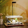Miniatyrbillede 3 af 11: Akryl Reptil Terrarium Insekter Tarantuler Indhegn Tanke Snegl Edderkop Habitat