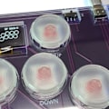 Pikkukuva 3 / 7: Fighting Box Mini HitBox Ohjain SOCD Arcade-tikku Näppäimistö SOCD PC-pelikonsolilisävarusteet null - A