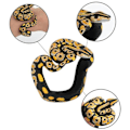Pikkukuva 3 / 8: Knepig Rolig Parodi Simulering Snake Toy Snake Armband Nyhet A7 one size A7 one size