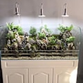 Miniatyrbillede 4 af 5: 20/40W E27 Pærer Glødepære Vand Græs Akvarium LED-lys til 2SS202806 Belysning Fiskekummer Glødepære Plantevækstlamper 20W