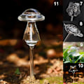 Miniatyrbillede 5 af 5: 11 Typer Glas Blomster Vattenmatare Automatisk Självbevattning De Transparent 5 Transparent 5