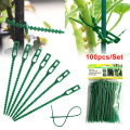 Miniatyrbild 3 av 5: 50/100 st Återanvändbara plaststödklämmor klämmor s Hanging Vine 100pcs